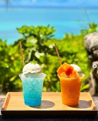 Ikemajima gelato cafe Ninufaの画像