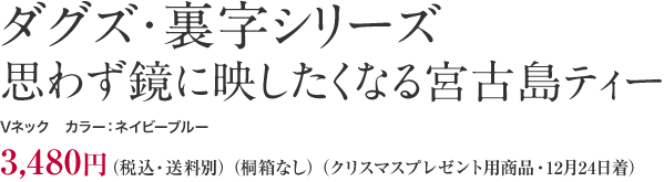 ダグズ・裏字シリーズ・思わず鏡に映したくなる宮古島ティーVネック